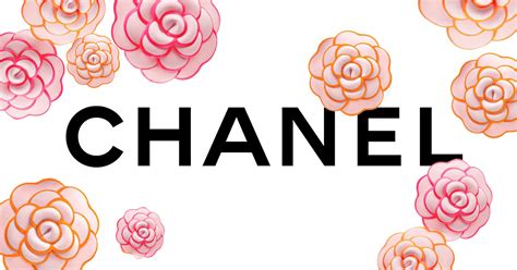 chanel zonnebril den haag|Chanel brillen.